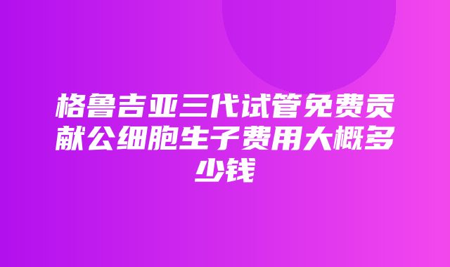 格鲁吉亚三代试管免费贡献公细胞生子费用大概多少钱