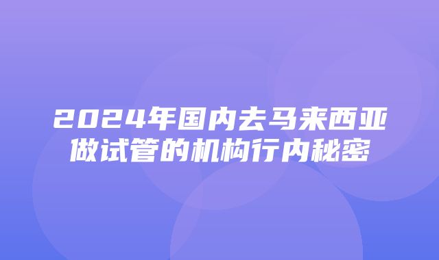 2024年国内去马来西亚做试管的机构行内秘密