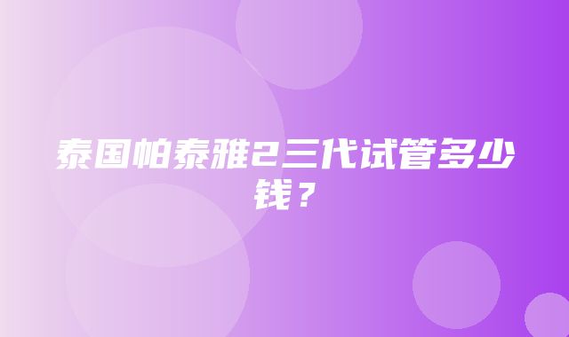 泰国帕泰雅2三代试管多少钱？