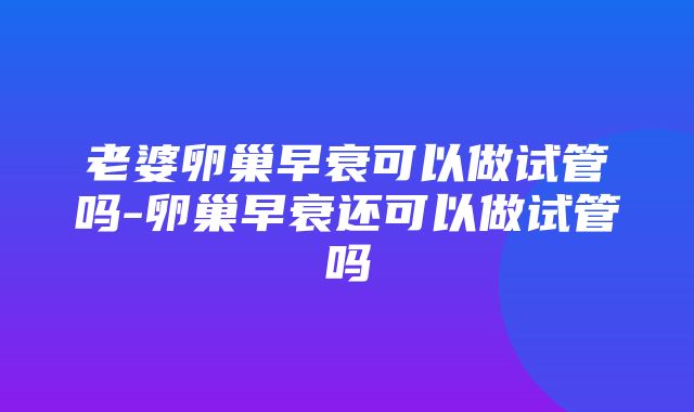 老婆卵巢早衰可以做试管吗-卵巢早衰还可以做试管吗