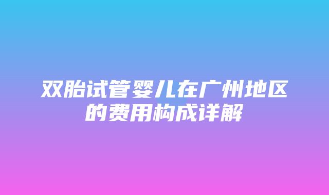 双胎试管婴儿在广州地区的费用构成详解