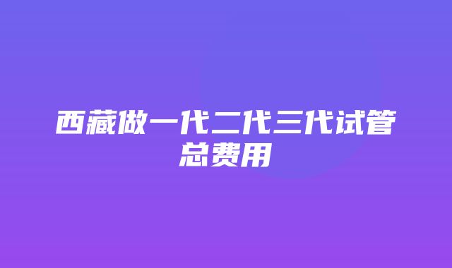 西藏做一代二代三代试管总费用