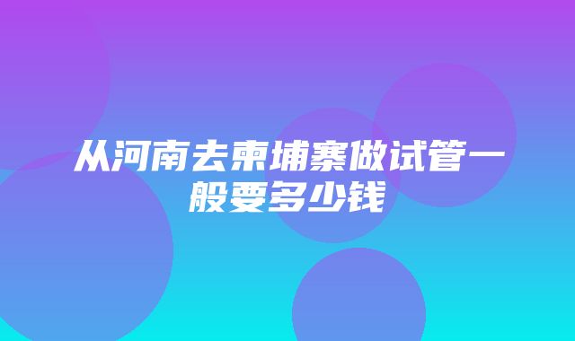 从河南去柬埔寨做试管一般要多少钱