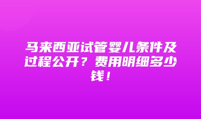 马来西亚试管婴儿条件及过程公开？费用明细多少钱！