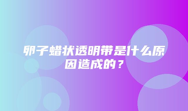 卵子蜡状透明带是什么原因造成的？