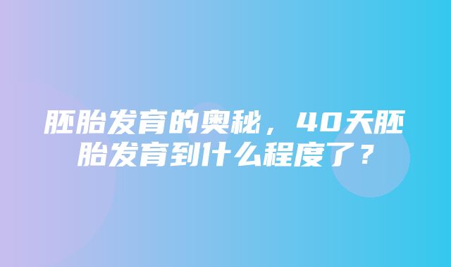 胚胎发育的奥秘，40天胚胎发育到什么程度了？