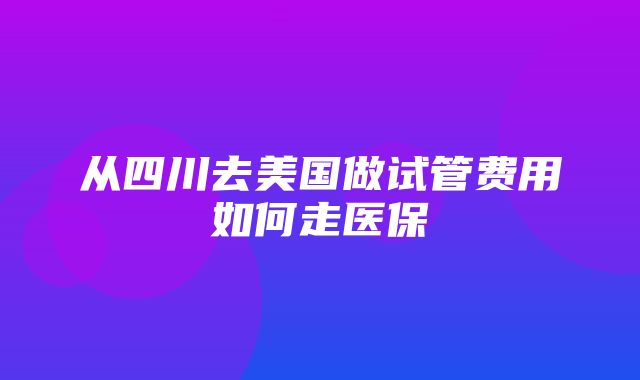 从四川去美国做试管费用如何走医保