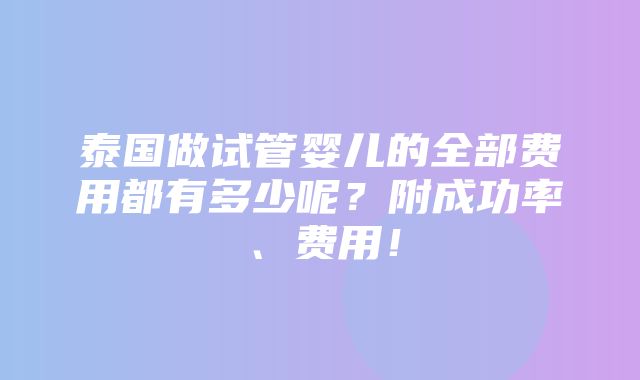 泰国做试管婴儿的全部费用都有多少呢？附成功率、费用！