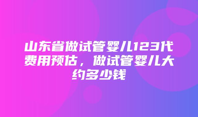 山东省做试管婴儿123代费用预估，做试管婴儿大约多少钱