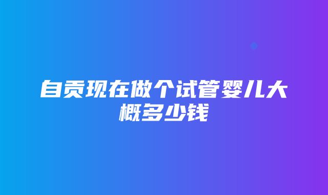 自贡现在做个试管婴儿大概多少钱