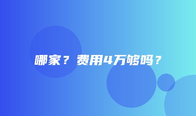 哪家？费用4万够吗？