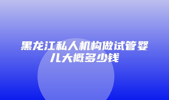 黑龙江私人机构做试管婴儿大概多少钱