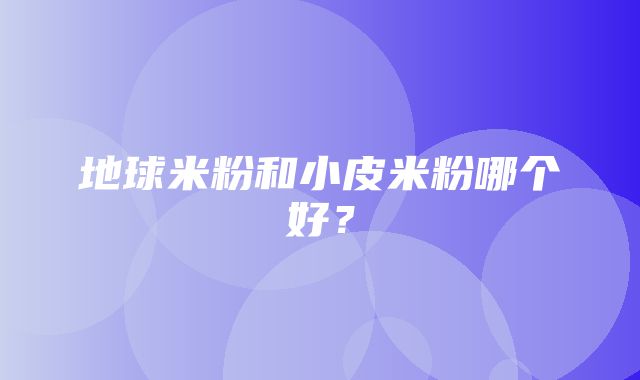 地球米粉和小皮米粉哪个好？