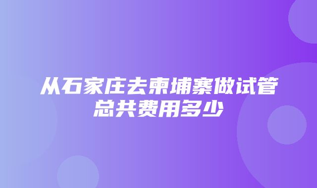 从石家庄去柬埔寨做试管总共费用多少