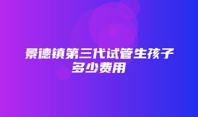 景德镇第三代试管生孩子多少费用