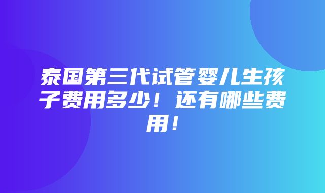 泰国第三代试管婴儿生孩子费用多少！还有哪些费用！