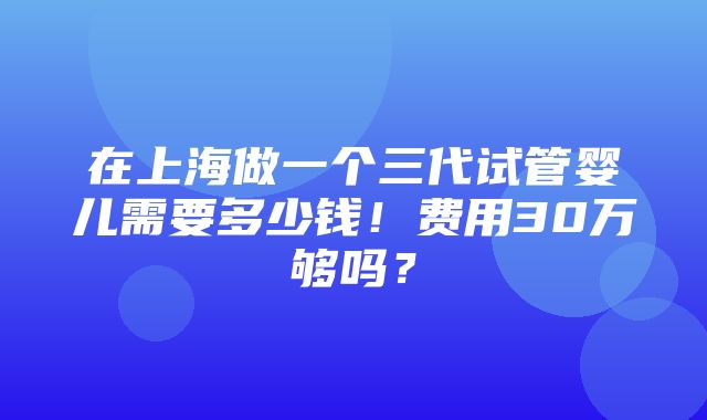 在上海做一个三代试管婴儿需要多少钱！费用30万够吗？