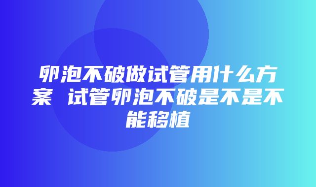 卵泡不破做试管用什么方案 试管卵泡不破是不是不能移植