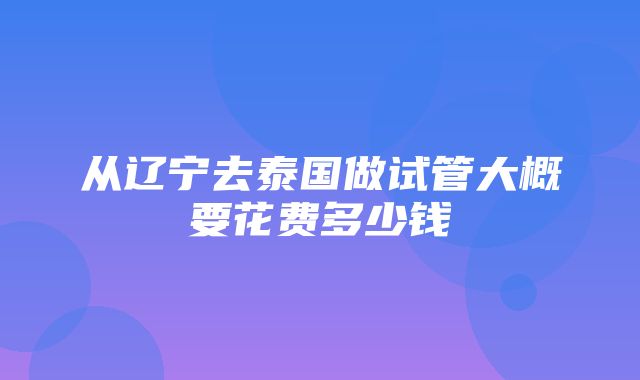 从辽宁去泰国做试管大概要花费多少钱