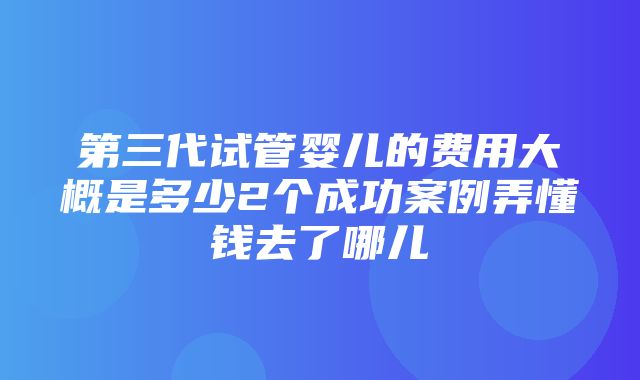 第三代试管婴儿的费用大概是多少2个成功案例弄懂钱去了哪儿