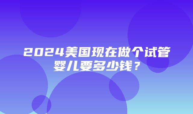 2024美国现在做个试管婴儿要多少钱？