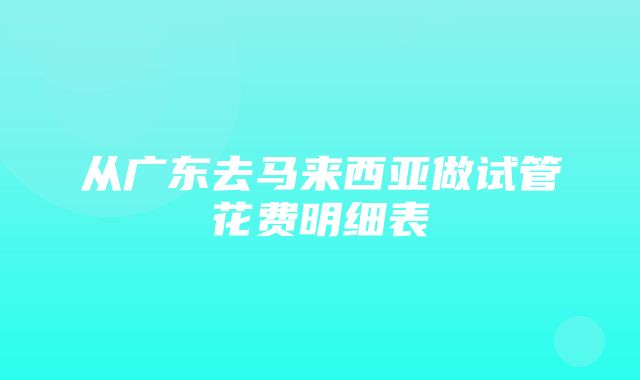 从广东去马来西亚做试管花费明细表