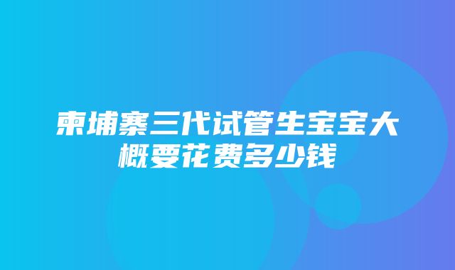 柬埔寨三代试管生宝宝大概要花费多少钱