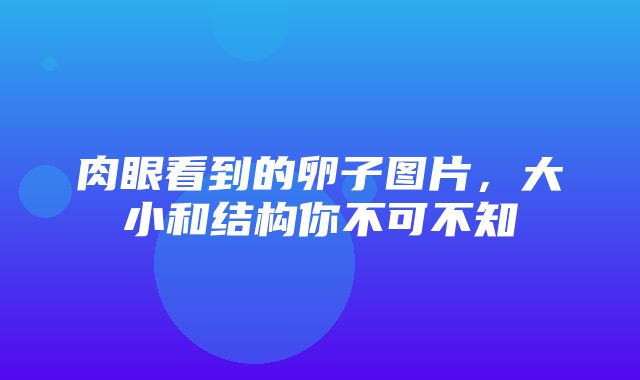 肉眼看到的卵子图片，大小和结构你不可不知