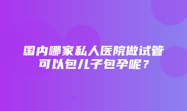 国内哪家私人医院做试管可以包儿子包孕呢？