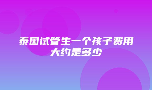 泰国试管生一个孩子费用大约是多少