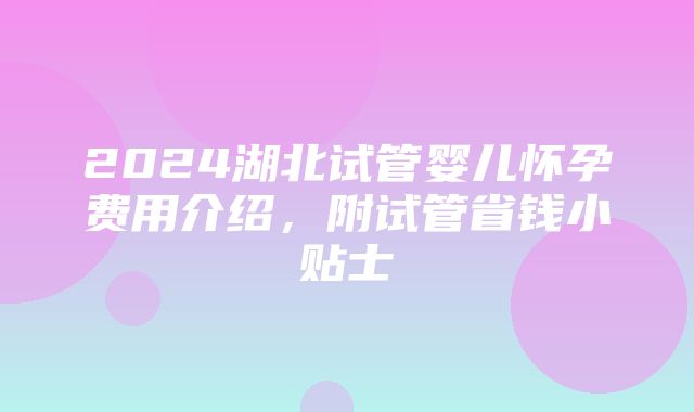 2024湖北试管婴儿怀孕费用介绍，附试管省钱小贴士