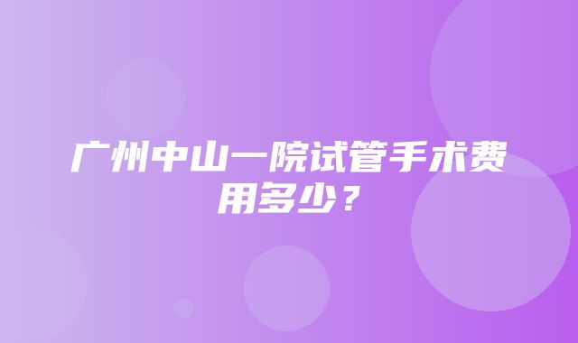 广州中山一院试管手术费用多少？