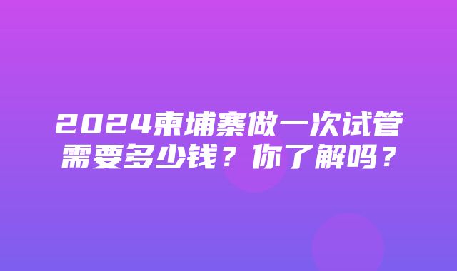 2024柬埔寨做一次试管需要多少钱？你了解吗？