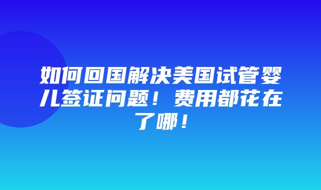 如何回国解决美国试管婴儿签证问题！费用都花在了哪！