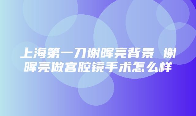 上海第一刀谢晖亮背景 谢晖亮做宫腔镜手术怎么样