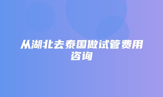 从湖北去泰国做试管费用咨询