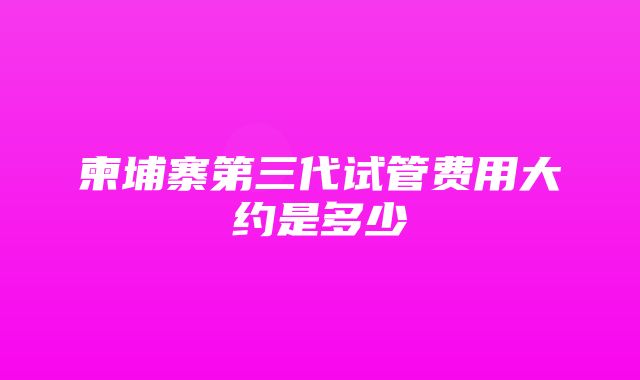 柬埔寨第三代试管费用大约是多少