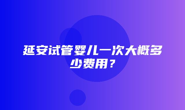 延安试管婴儿一次大概多少费用？