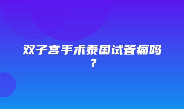 双子宫手术泰国试管痛吗？