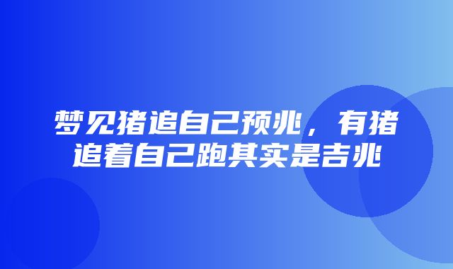 梦见猪追自己预兆，有猪追着自己跑其实是吉兆