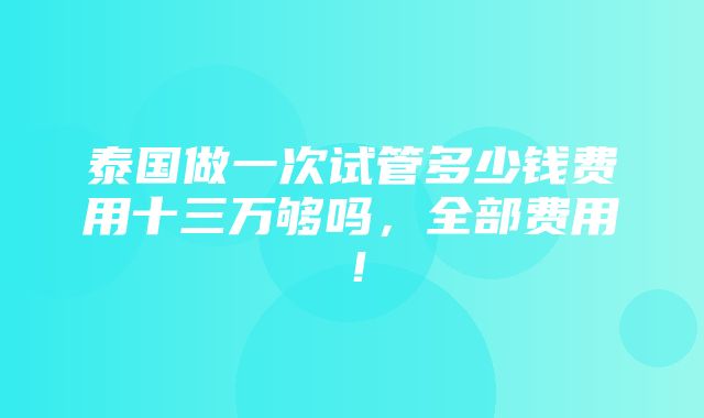 泰国做一次试管多少钱费用十三万够吗，全部费用！