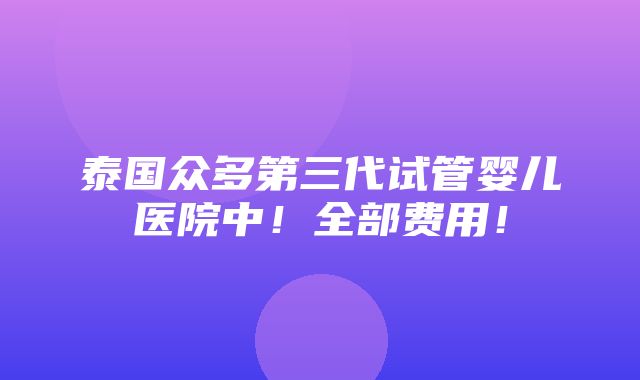 泰国众多第三代试管婴儿医院中！全部费用！