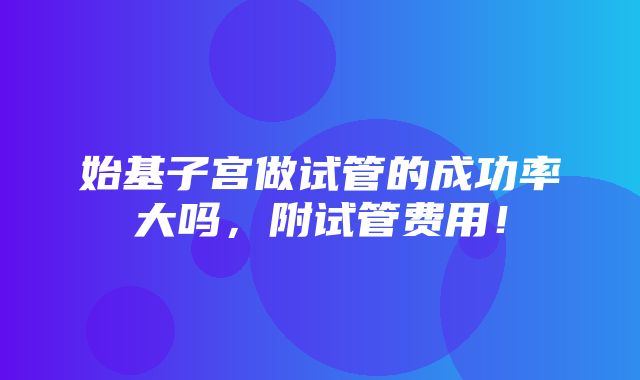 始基子宫做试管的成功率大吗，附试管费用！