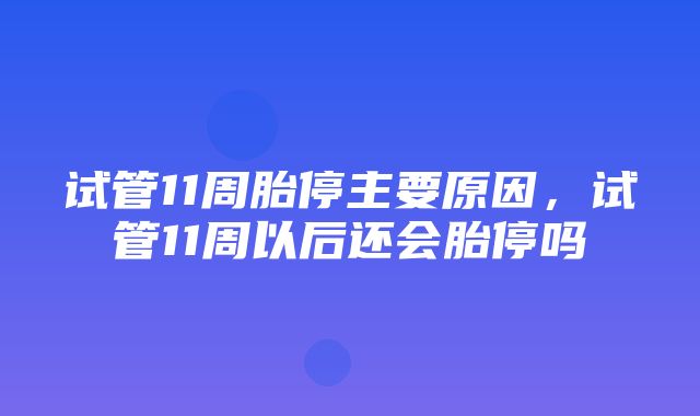 试管11周胎停主要原因，试管11周以后还会胎停吗