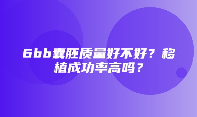 6bb囊胚质量好不好？移植成功率高吗？