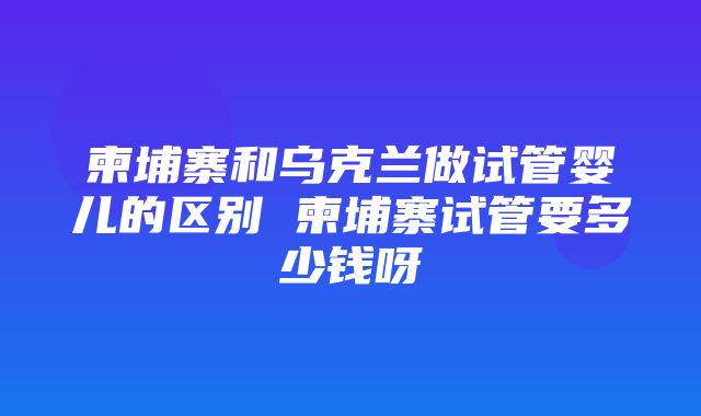 柬埔寨和乌克兰做试管婴儿的区别 柬埔寨试管要多少钱呀