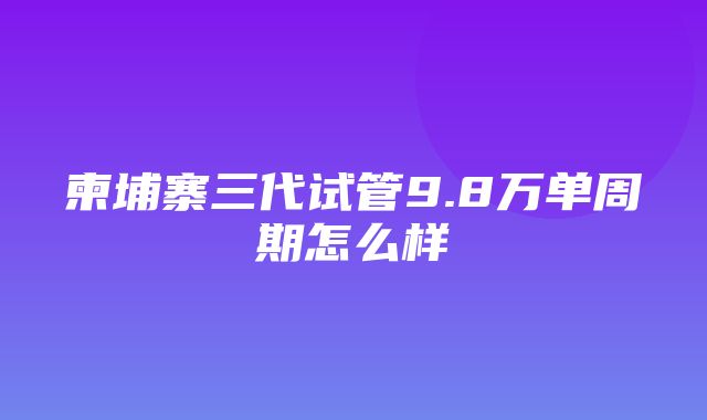 柬埔寨三代试管9.8万单周期怎么样