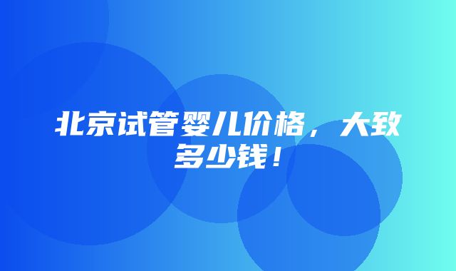 北京试管婴儿价格，大致多少钱！