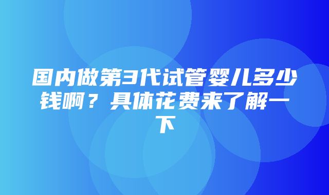 国内做第3代试管婴儿多少钱啊？具体花费来了解一下