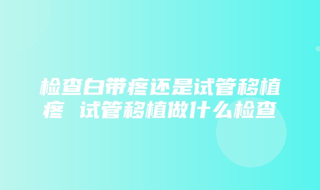 检查白带疼还是试管移植疼 试管移植做什么检查